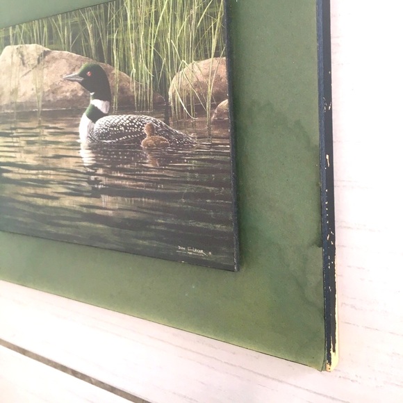 Canadian Loon Family Signed by Artist Don Li-Leger - Picture 11 of 11